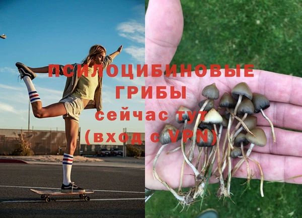 дживик Аркадак