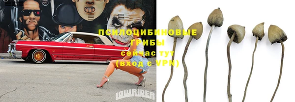 дживик Аркадак