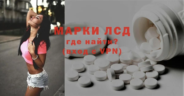 дживик Аркадак